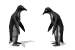 penguins_courting[1].gif
